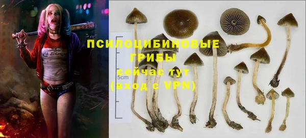 мяу мяу кристалл Инсар