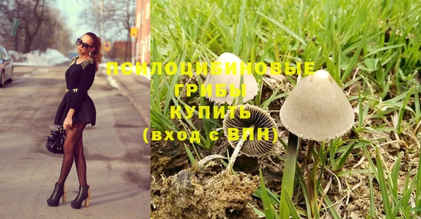 альфа пвп Инта